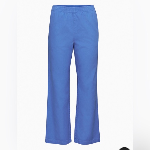 Aritzia Pants - Aritzia Tna Christie pant